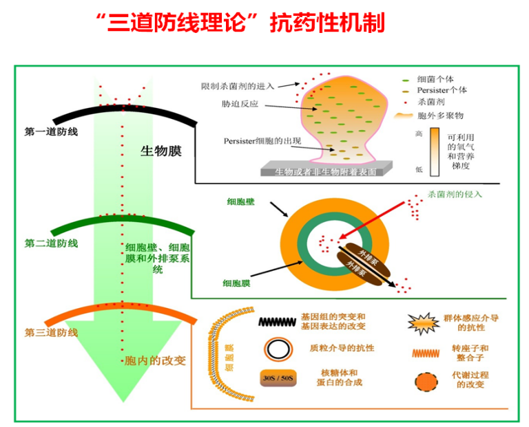 微信图片_20220606151056.png